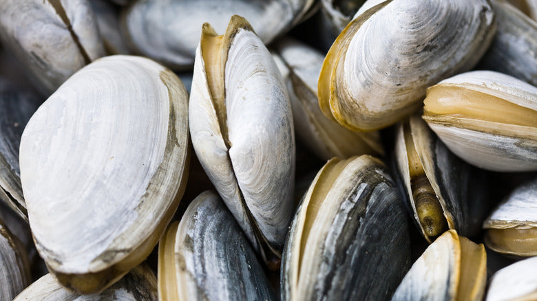 Steamers
